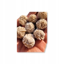 Róża Pustyni 20 gramów 3 cm Maroko Minerał