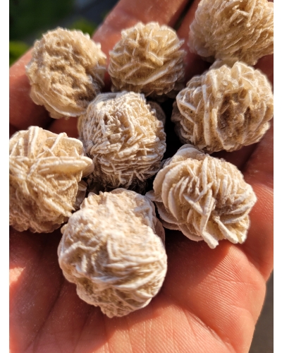 Róża Pustyni 20 gramów 3 cm Maroko Minerał