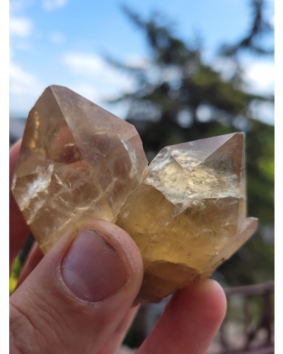 Cytryn Kryształ +/- 30 gramów 2 cm Naturalny Szpic Kongo