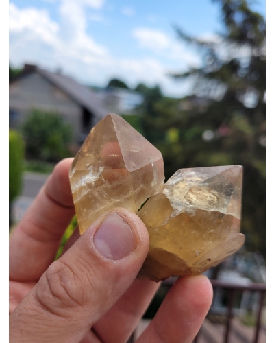 Cytryn Kryształ +/- 30 gramów 2 cm Naturalny Szpic Kongo