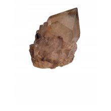 Cytryn Naturalny Szczotka +/- 40 gramów 4 CM Kongo