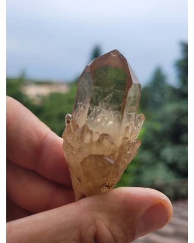 Cytryn Naturalny Szczotka +/- 40 gramów 4 CM Kongo