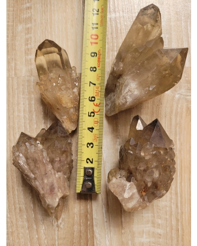 Cytryn Naturalny Szczotka +/- 40 gramów 4 CM Kongo