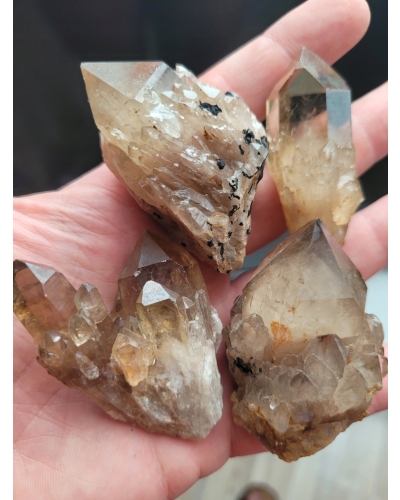 Cytryn Naturalny Szczotka +/- 40 gramów 4 CM Kongo