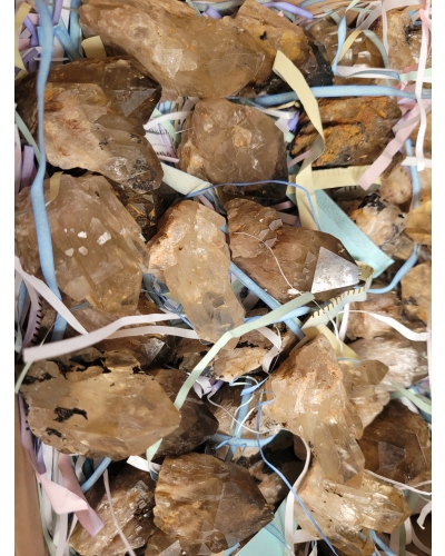 Cytryn Naturalny Szczotka +/- 40 gramów 4 CM Kongo