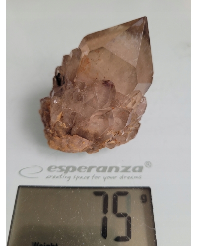 Cytryn Naturalny Szczotka +/- 40 gramów 4 CM Kongo