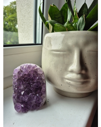 Ametyst Szczotka 550 gramów 10 cm Stojąca Brazylia Wysoka Jakość